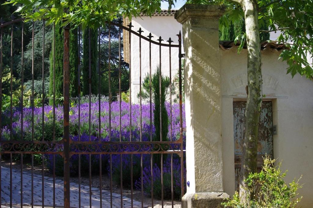 Appartamento On Dirait Le Sud Andrezieux-Boutheon Esterno foto